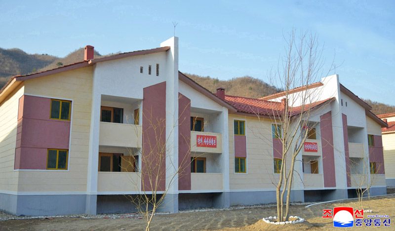 Today's News - Image 56