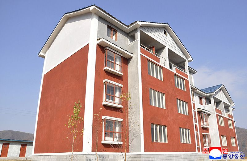 New houses built in rural villages of Ryanggang Province - Image 2