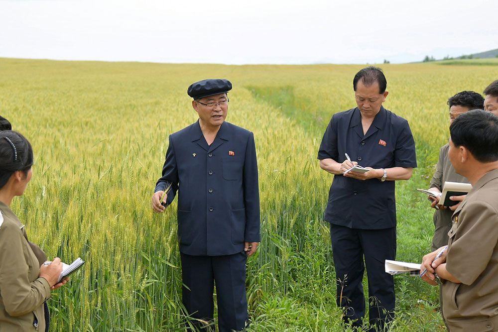 DPRK Premier Inspects Various Sectors of National Economy