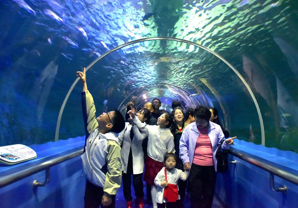 May Day Celebrated in DPRK - Image 8
