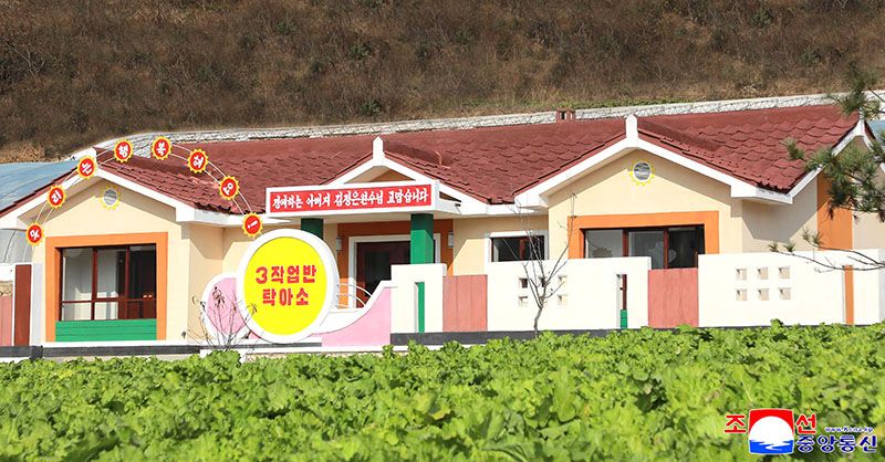 New production, public buildings built at Jisin Vegetable Farm in Huichon City - Image 9