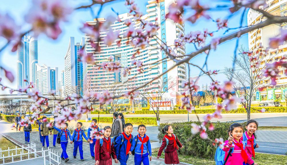 Capital City Full of Flower Fragrance - Image 4