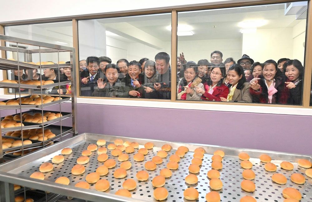 Regional-industry Factories Inaugurated in Pukchang County of DPRK - Image 10