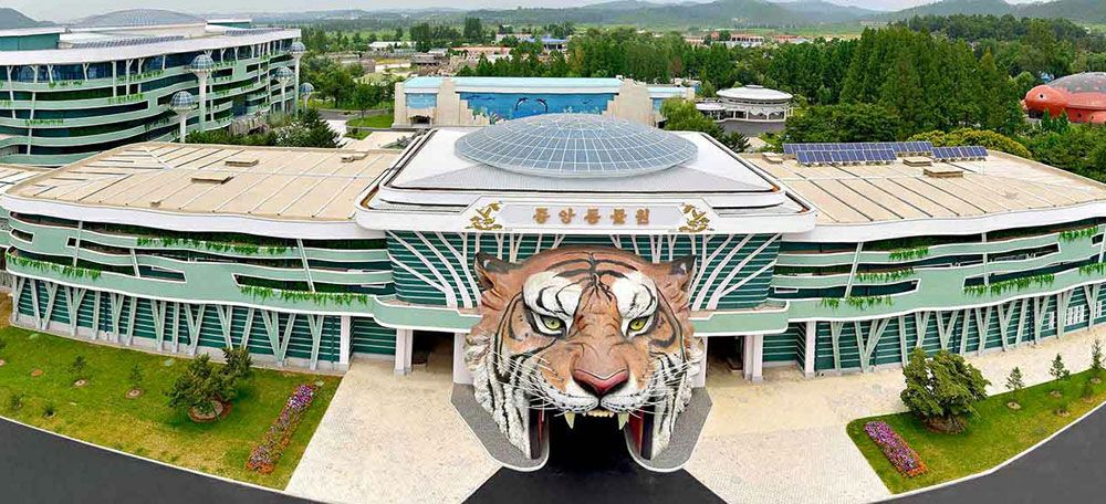 Kaleidoscopic Pyongyang in Great Kim Jong Un ’s Era - Image 7