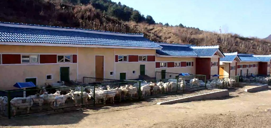 Dairy Goods Production Foundation Solidified