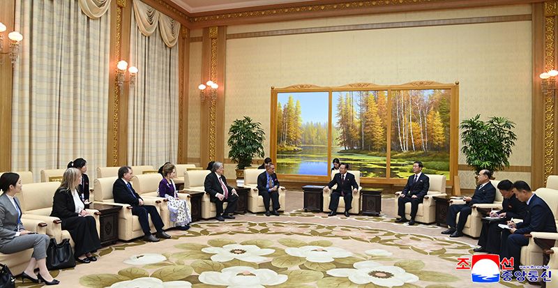 Choe Ryong Hae meets members of International Kim Il Sung Prize Council and International Kim Jong Il Prize Council