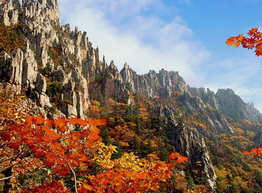 Celebrated Mountain with Unique Natural Scenery - Image 2