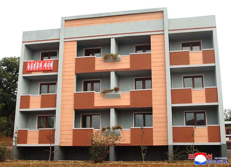 New houses built at farm in Anju - Image 2