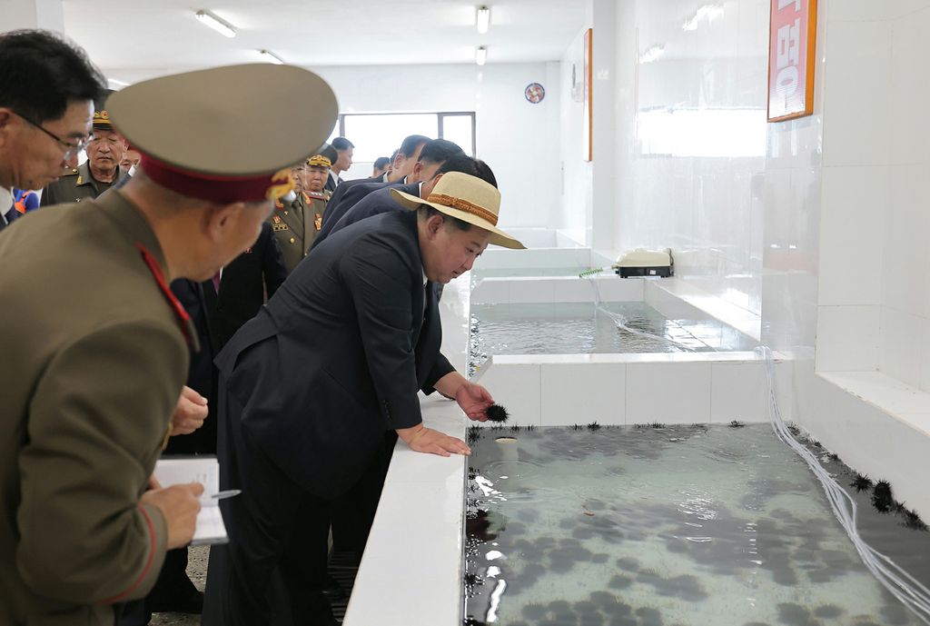 Another Spectacular Fairyland on East Coast in New Era of Regional RejuvenationInaugural Ceremony of Ragwon County Offshore Farm Takes Place with Splendor - Image 25