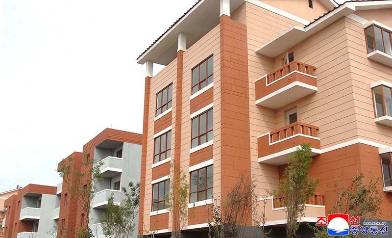 New houses built at farm in Anju