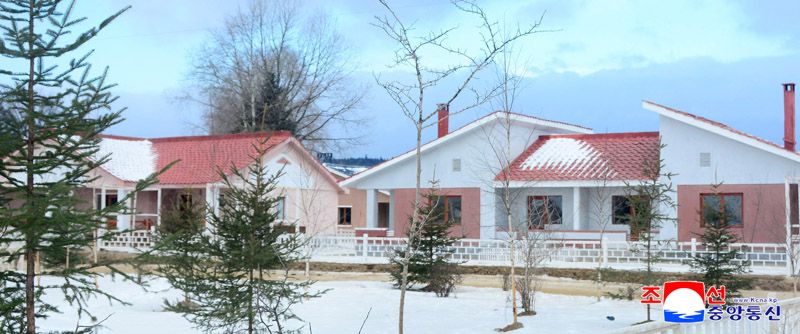 Today's News - Image 47