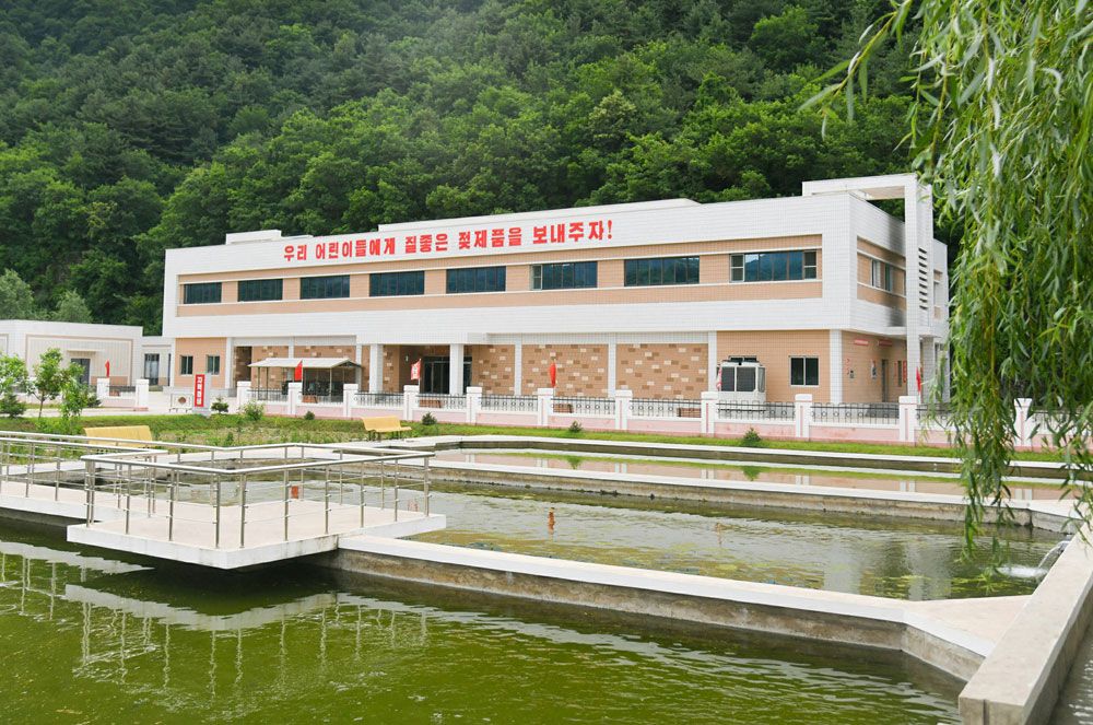 Output of Dairy Products Boosted in Pyongyang - Image 4