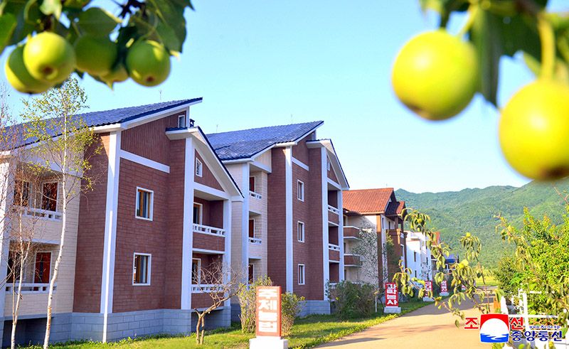 Farmers move into new houses in Hoeryong - Image 2