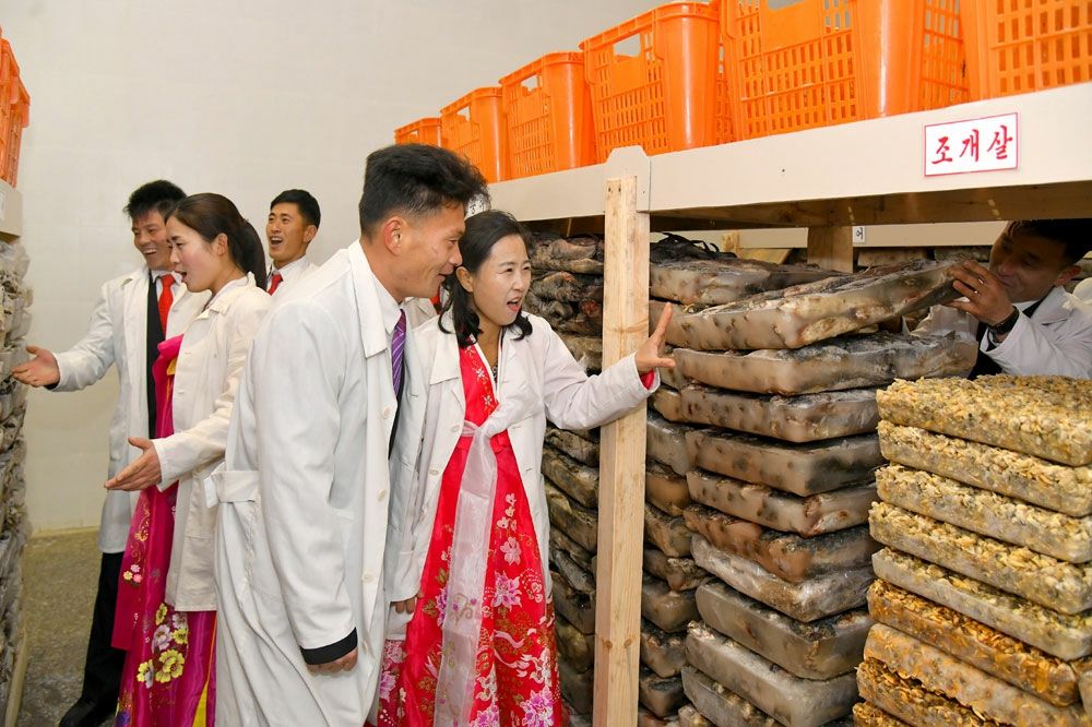 Inauguration Ceremony of Regional-Industry Factories Held in Yomju County - Image 21