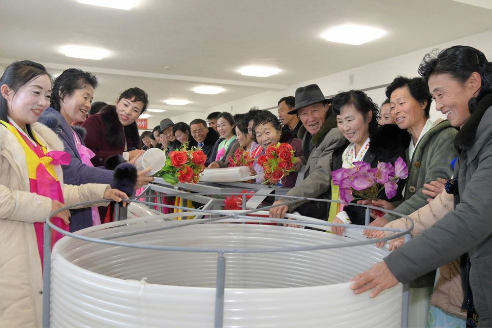 Regional-Industry Factories Inaugurated in Paechon County of DPRK - Image 4