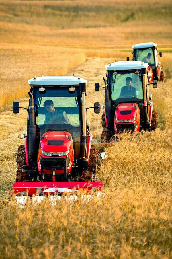 They Harvest Wheat and Barley without Any Loss - Image 4