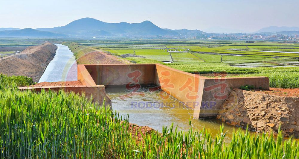 Validity and Vitality of Our Party’s Policy on Irrigation Construction - Image 2