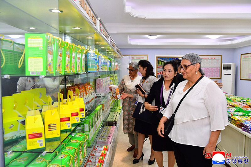 Chairwoman of Women's International Democratic Federation tours different places in Pyongyang - Image 3