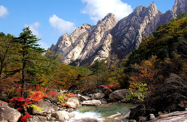 Today's News - Image 218