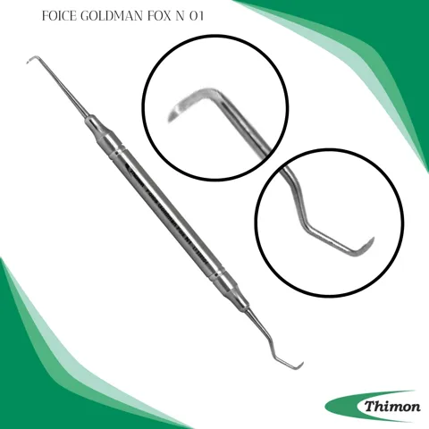 FOICE GOLDMAN FOX N 01