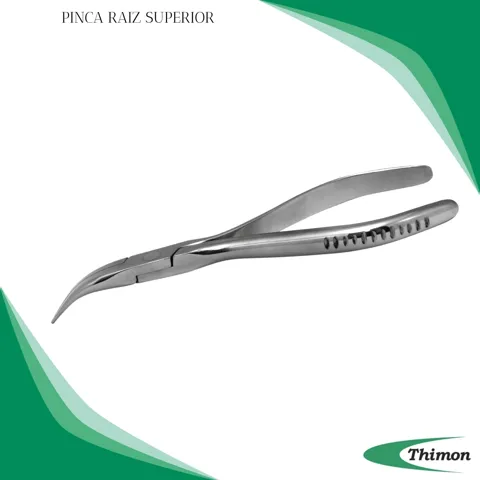 PINCA RAIZ SUPERIOR
