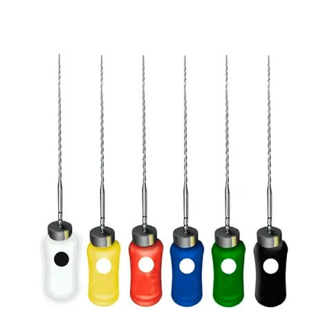 Lima Hedstroem 21mm Maillefer - Dentsply Sirona