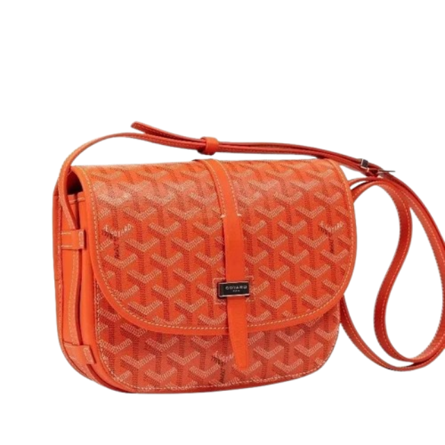 Goyard Bag