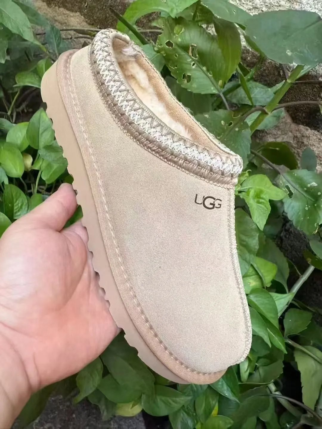 UGG Tasman qc 5