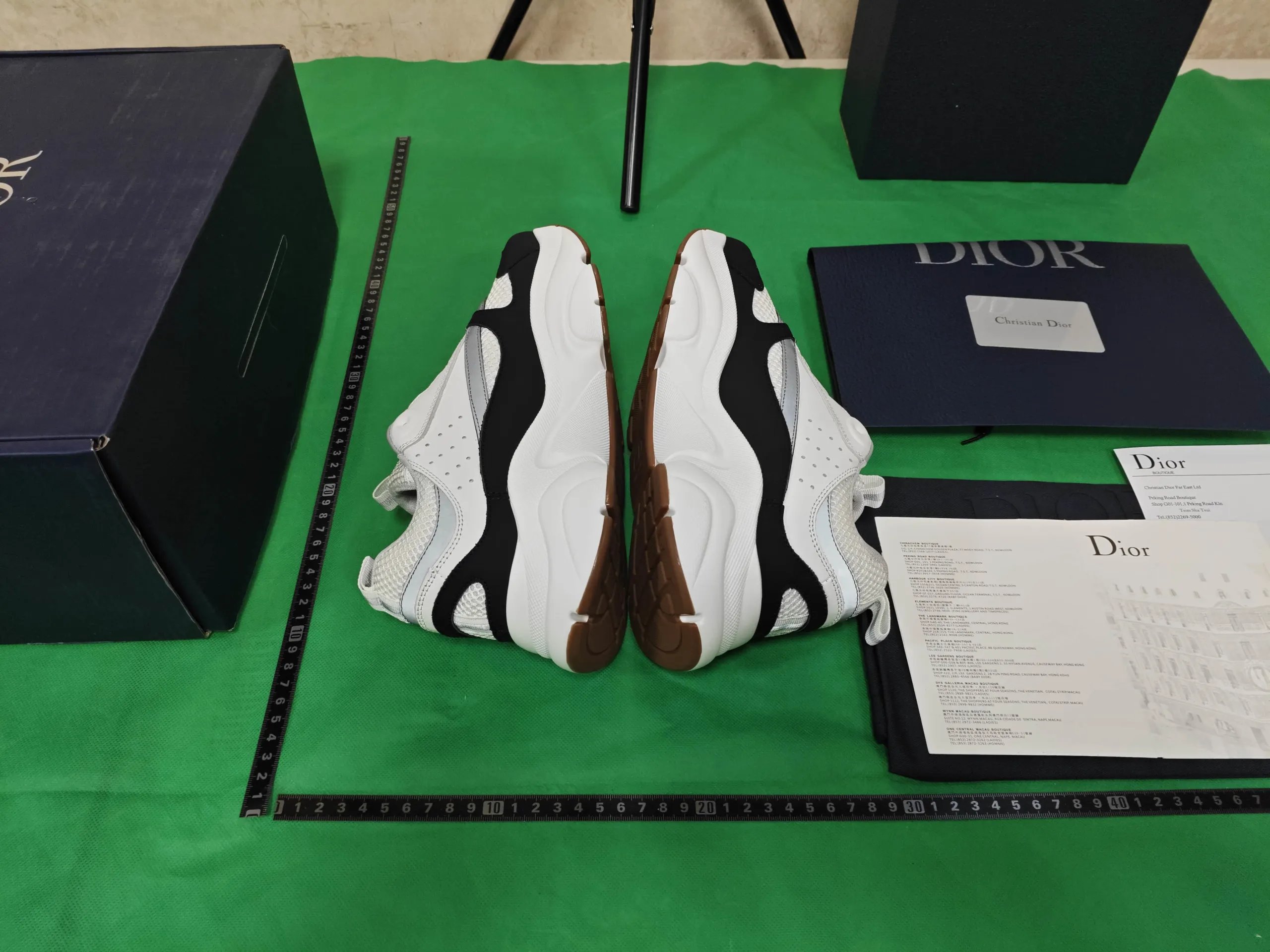 Dior B22 qc 1