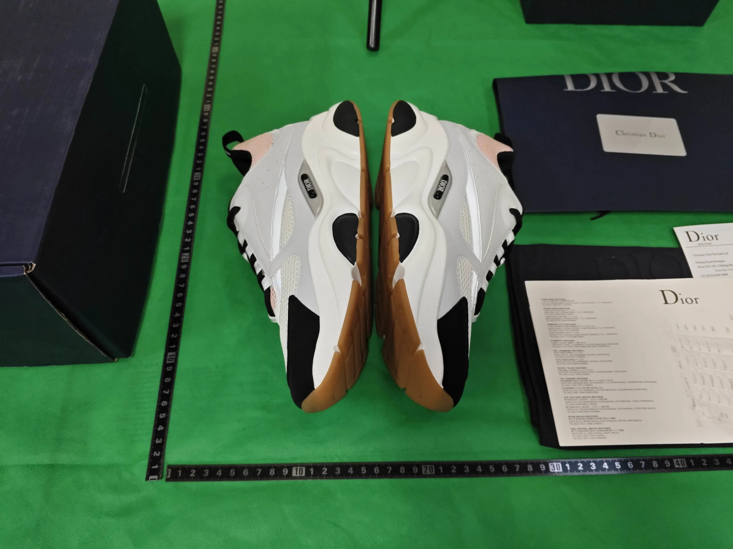Dior B22 sneakers qc 6