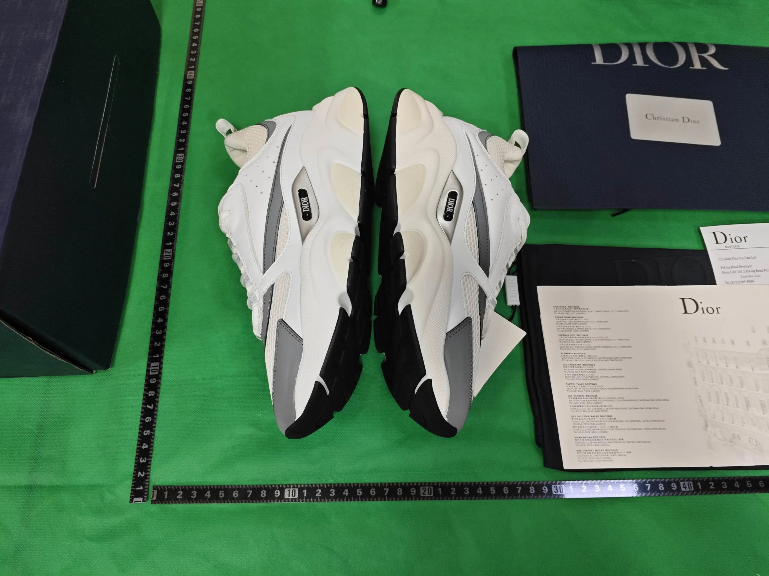 Dior B22 sneakers qc 2