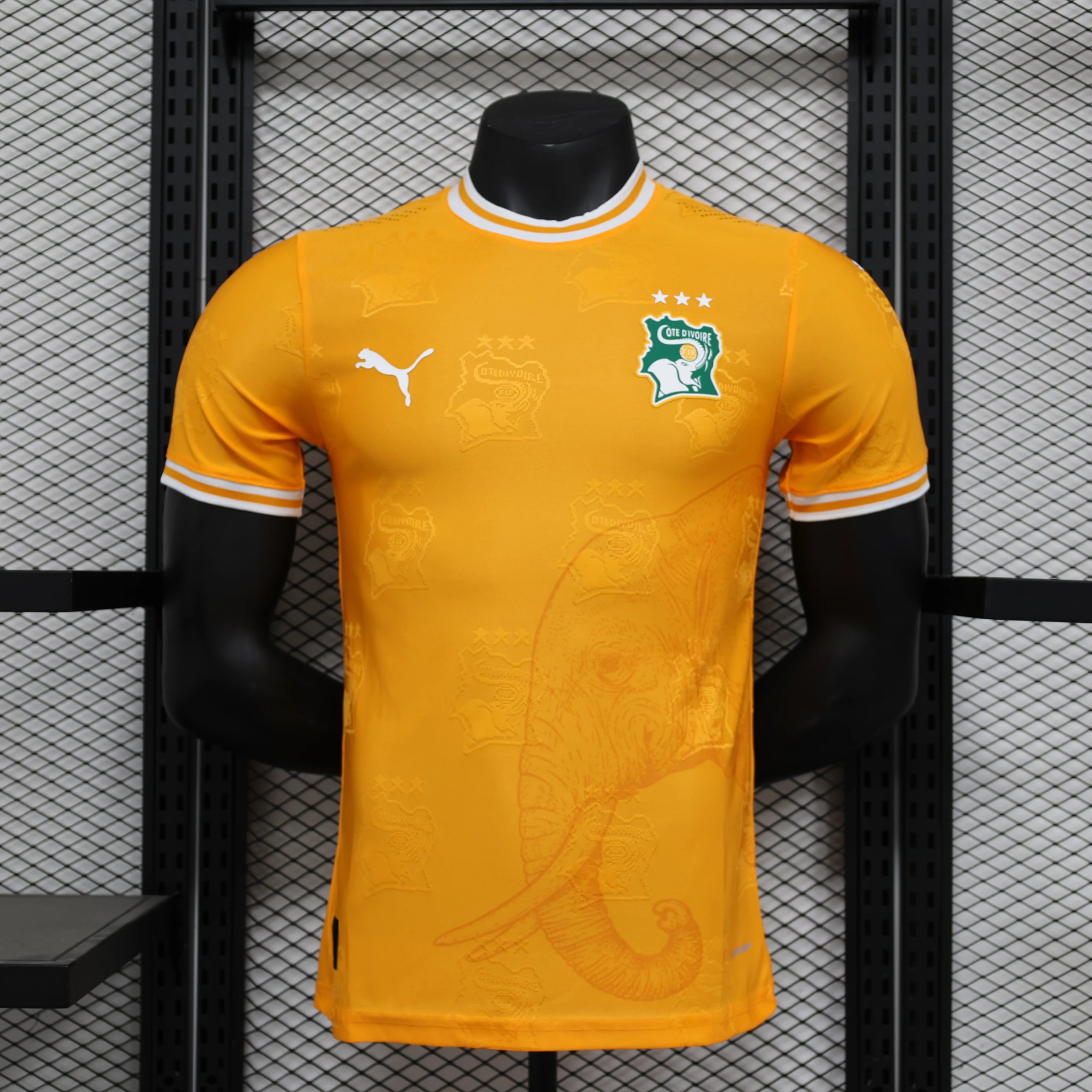 PUMA Ivory Coast National Team 2025 Away Jersey qc 3
