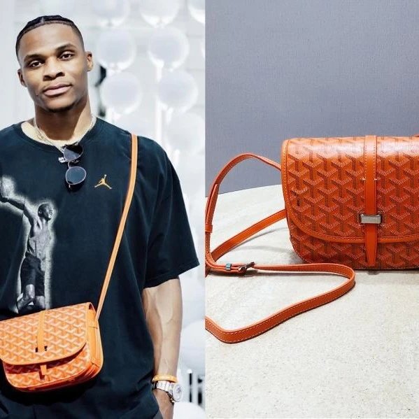 Goyard Bag qc 3