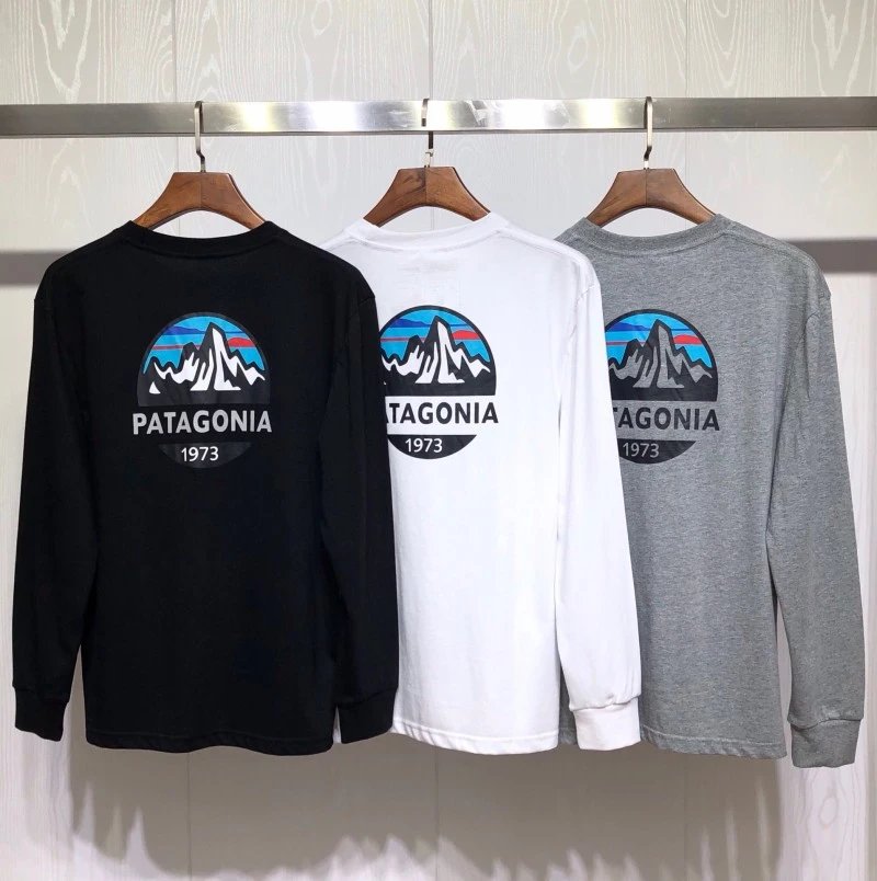 Patagonia T-Shirt qc 3