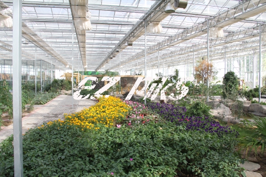 Greenhouse