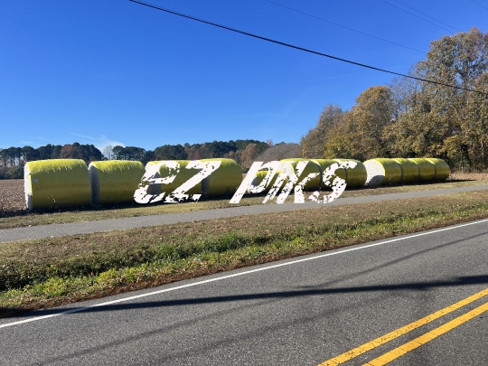 Cotton Bales