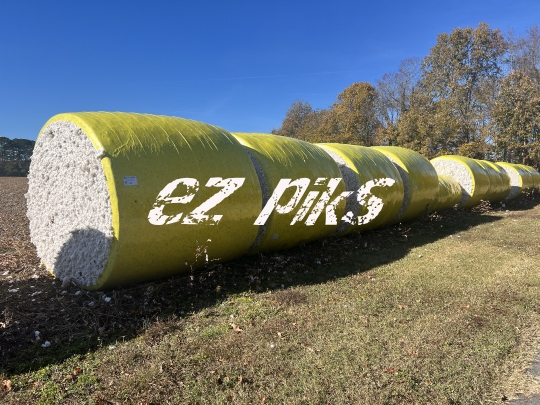 Cotton Bales