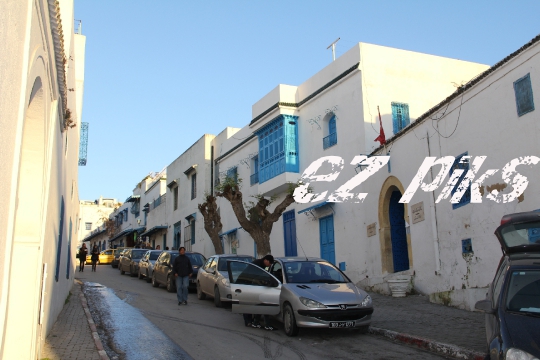 Blue Homes