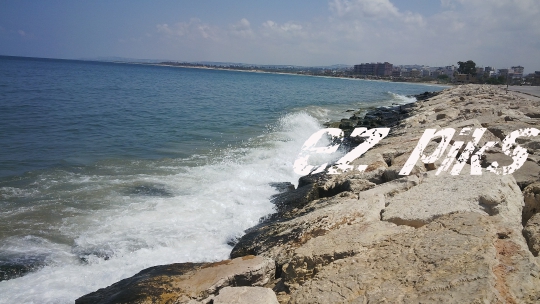 Sidon city and sea
