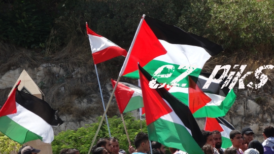 Flags