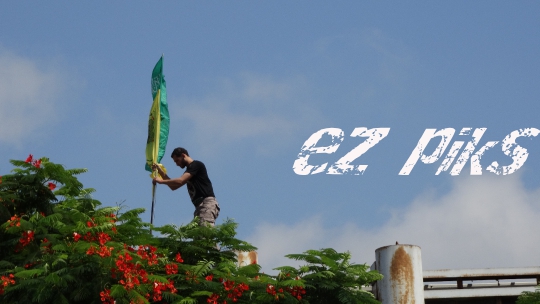 Palestinian flag