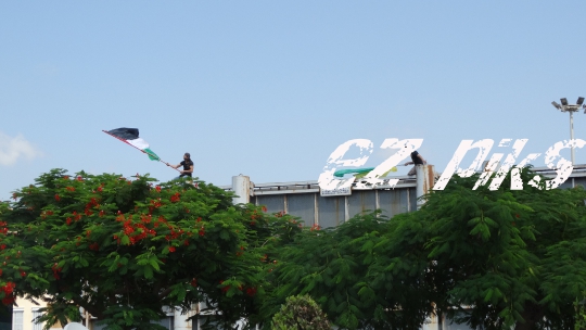 Palestinian flag