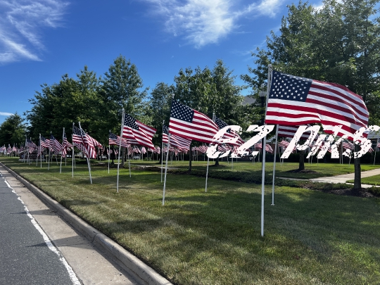 American Flags