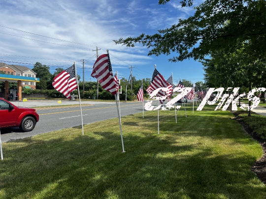 American Flags