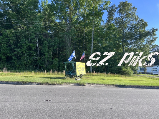 Flags