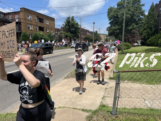 "No Kings" Protests