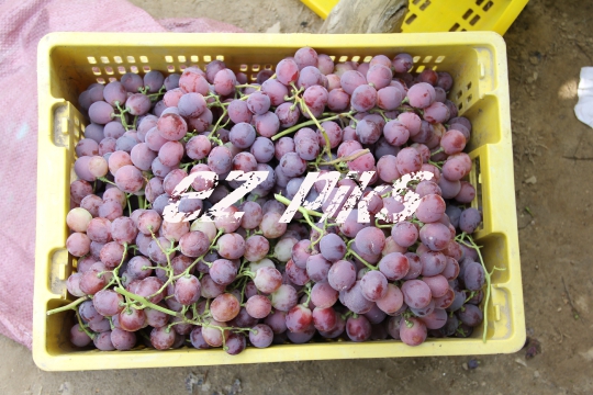 Grape Crate
