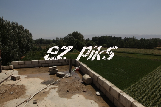 Fields in Tyre 