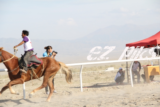 Free Horse Race