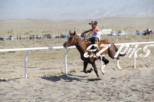 Free Horse Race